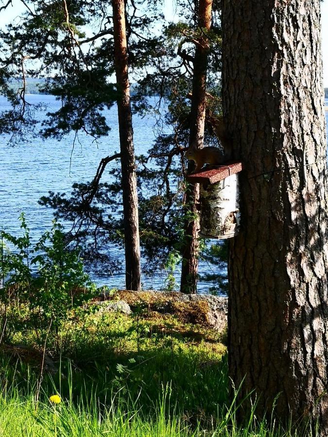 Club House Hotelli Kaipolan Ranta Jämsä Extérieur photo